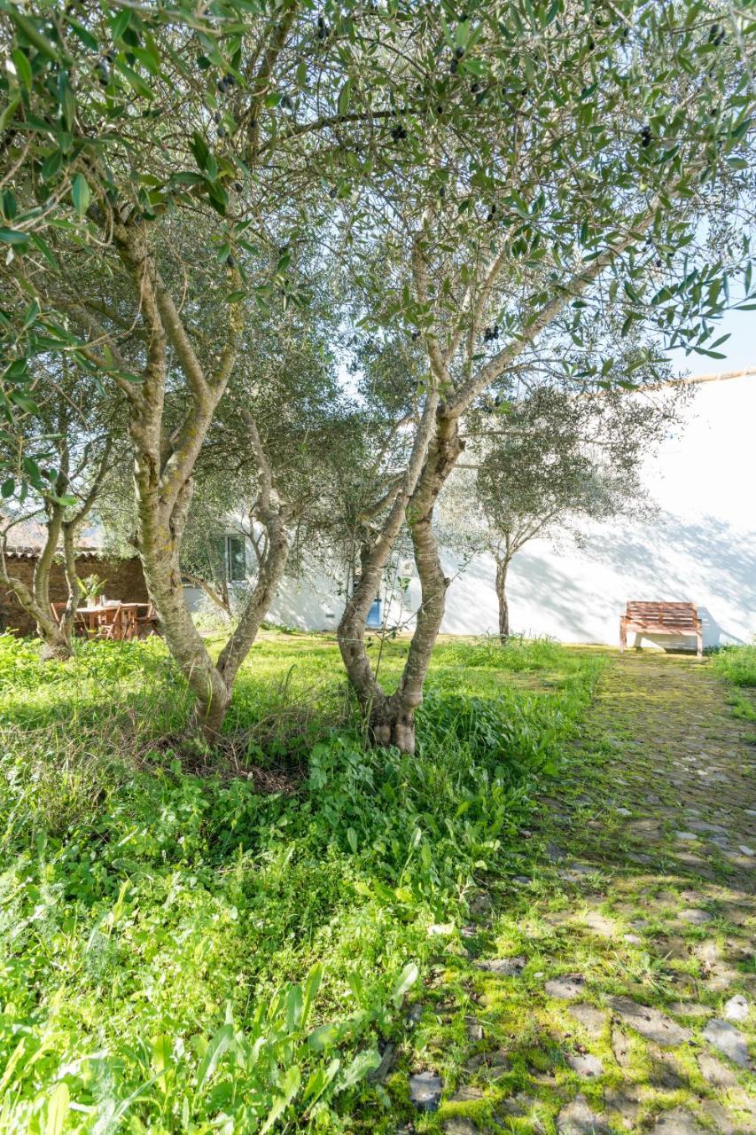 Casa De Olivos, Chimenea Con Horno 2 Hab 4 Pers Mas 1 Max Puerto de la Laja