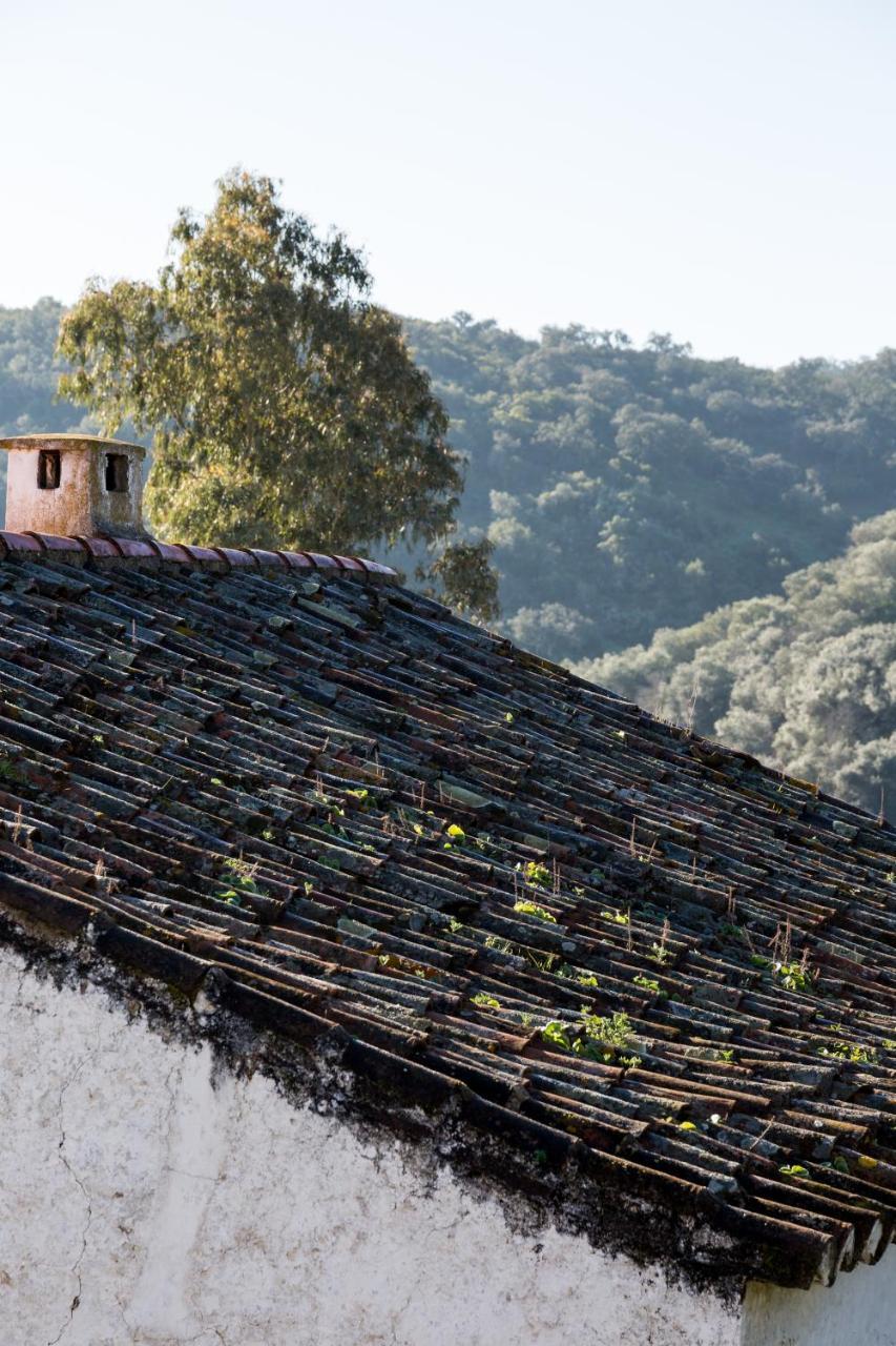 Casa De Olivos, Chimenea Con Horno 2 Hab 4 Pers Mas 1 Max Puerto de la Laja